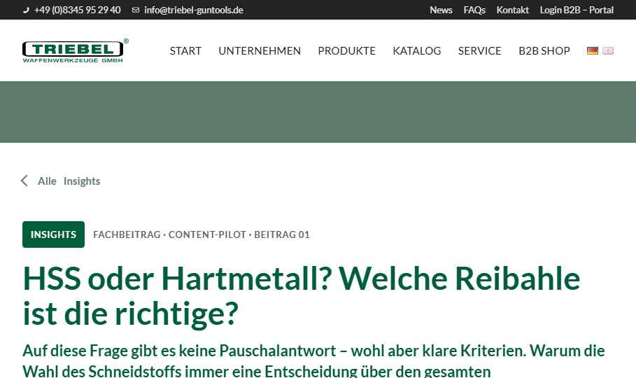 Vorschau Insight Fachbeitrag
